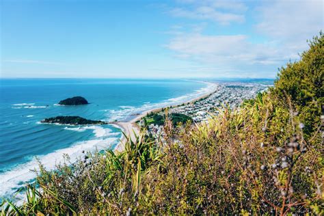 bay of plenty travel guide